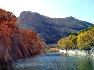 新澳天天开奖资料大全旅游团，松江神舟笔记本维修